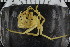  ( - ZMBN_104929)  @11 [ ] CreativeCommons - Attribution Non-Commercial Share-Alike (2016) University of Bergen Natural History Collections