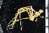  ( - ZMBN_104961)  @11 [ ] CreativeCommons - Attribution Non-Commercial Share-Alike (2016) University of Bergen Natural History Collections