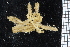  ( - ZMBN_104965)  @11 [ ] CreativeCommons - Attribution Non-Commercial Share-Alike (2016) University of Bergen Natural History Collections
