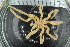  ( - ZMBN_106264)  @11 [ ] CreativeCommons - Attribution Non-Commercial Share-Alike (2016) University of Bergen Natural History Collections