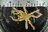  ( - ZMBN_106265)  @11 [ ] CreativeCommons - Attribution Non-Commercial Share-Alike (2016) University of Bergen Natural History Collections