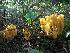  ( - O-F 294350)  @11 [ ] Unspecified (default): All Rights Reserved  Unspecified Unspecified