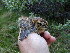  ( - NHMO-BC310)  @13 [ ] Unspecified (default): All Rights Reserved  Unspecified Unspecified