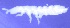  ( - Norcoll-070)  @12 [ ] CreativeCommons - Attribution Share-Alike (2014) Arne Fjellberg Arne Fjellberg Entomological Research