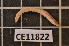  ( - CE11822)  @14 [ ] CreativeCommons - Attribution Non-Commercial Share-Alike (2011) Department of Zoology, University of Gothenburg Department of Zoology, University of Gothenburg
