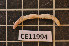  ( - CE11994)  @11 [ ] CreativeCommons - Attribution Non-Commercial Share-Alike (2011) Department of Zoology, University of Gothenburg Department of Zoology, University of Gothenburg