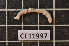  ( - CE11997)  @12 [ ] CreativeCommons - Attribution Non-Commercial Share-Alike (2011) Department of Zoology, University of Gothenburg Department of Zoology, University of Gothenburg