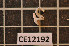  ( - CE12192)  @12 [ ] CreativeCommons - Attribution Non-Commercial Share-Alike (2011) Department of Zoology, University of Gothenburg Department of Zoology, University of Gothenburg