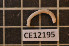  ( - CE12195)  @12 [ ] CreativeCommons - Attribution Non-Commercial Share-Alike (2011) Department of Zoology, University of Gothenburg Department of Zoology, University of Gothenburg