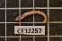  ( - CE12257)  @13 [ ] CreativeCommons - Attribution Non-Commercial Share-Alike (2011) Department of Zoology, University of Gothenburg Department of Zoology, University of Gothenburg