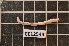  ( - CE12544)  @14 [ ] CreativeCommons - Attribution Non-Commercial Share-Alike (2011) Department of Zoology, University of Gothenburg Department of Zoology, University of Gothenburg