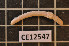  ( - CE12547)  @14 [ ] CreativeCommons - Attribution Non-Commercial Share-Alike (2011) Department of Zoology, University of Gothenburg Department of Zoology, University of Gothenburg
