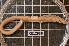  ( - CE12956)  @14 [ ] CreativeCommons - Attribution Non-Commercial Share-Alike (2011) Department of Zoology, University of Gothenburg Department of Zoology, University of Gothenburg