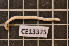  ( - CE13375)  @12 [ ] CreativeCommons - Attribution Non-Commercial Share-Alike (2011) Department of Zoology, University of Gothenburg Department of Zoology, University of Gothenburg