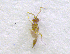  ( - NORIN_116_2013)  @12 [ ] CreativeCommons - Attribution Non-Commercial Share-Alike (2013) Unspecified Bioforsk