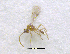  ( - NORIN_117_2013)  @12 [ ] CreativeCommons - Attribution Non-Commercial Share-Alike (2013) Unspecified Bioforsk