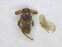  ( - NORIN_132_2013)  @12 [ ] CreativeCommons - Attribution Non-Commercial Share-Alike (2013) Unspecified Bioforsk