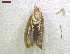  ( - NORIN_315_2013)  @13 [ ] CreativeCommons - Attribution Non-Commercial Share-Alike (2013) Unspecified Bioforsk