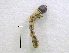  ( - NORIN_71-1_2013)  @11 [ ] CreativeCommons - Attribution Non-Commercial Share-Alike (2013) Unspecified Bioforsk