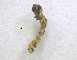  ( - NORIN_71-1_2013)  @11 [ ] CreativeCommons - Attribution Non-Commercial Share-Alike (2013) Unspecified Bioforsk