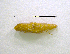  ( - NORIN_71-3_2013)  @12 [ ] CreativeCommons - Attribution Non-Commercial Share-Alike (2013) Unspecified Bioforsk