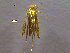  ( - NORIN_90-2_2013)  @13 [ ] CreativeCommons - Attribution Non-Commercial Share-Alike (2013) Unspecified Bioforsk