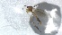  ( - TSZD-JKJ-116229)  @11 [ ] by-nc-sa (2024) Unspecified Tromso University Museum