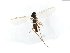  ( - TSZD-JKJ-104096)  @11 [ ] CreativeCommons - Attribution Non-Commercial Share-Alike (2018) Unspecified Tromsø University Museum