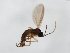  ( - TSZD-JKJ-104102)  @11 [ ] CreativeCommons - Attribution Non-Commercial Share-Alike (2018) Unspecified Tromsø University Museum