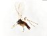  ( - TSZD-JKJ-104147)  @11 [ ] CreativeCommons - Attribution Non-Commercial Share-Alike (2018) Unspecified Tromsø University Museum