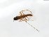  ( - TSZD-JKJ-104152)  @11 [ ] CreativeCommons - Attribution Non-Commercial Share-Alike (2018) Unspecified Tromsø University Museum