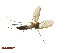  ( - TSZD-JKJ-101377)  @12 [ ] CreativeCommons - Attribution Non-Commercial Share-Alike (2015) Unspecified Tromso University Museum
