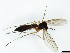  ( - TSZD-JKJ-101377)  @12 [ ] CreativeCommons - Attribution Non-Commercial Share-Alike (2015) Unspecified Tromso University Museum