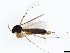  ( - TSZD-JKJ-101388)  @11 [ ] CreativeCommons - Attribution Non-Commercial Share-Alike (2015) Unspecified Tromso University Museum