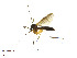  ( - TSZD-JKJ-101395)  @13 [ ] CreativeCommons - Attribution Non-Commercial Share-Alike (2015) Unspecified Tromso University Museum