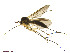  ( - TSZD-JKJ-101397)  @11 [ ] CreativeCommons - Attribution Non-Commercial Share-Alike (2015) Unspecified Tromso University Museum