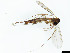  ( - TSZD-JKJ-101422)  @11 [ ] CreativeCommons - Attribution Non-Commercial Share-Alike (2015) Unspecified Tromso University Museum