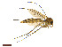  ( - TSZD-JKJ-101423)  @11 [ ] CreativeCommons - Attribution Non-Commercial Share-Alike (2015) Unspecified Tromso University Museum