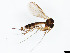  ( - TSZD-JKJ-101439)  @11 [ ] CreativeCommons - Attribution Non-Commercial Share-Alike (2015) Unspecified Tromso University Museum