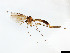  ( - TSZD-JKJ-101457)  @13 [ ] CreativeCommons - Attribution Non-Commercial Share-Alike (2015) Unspecified Tromso University Museum