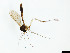  ( - TSZD-JKJ-101462)  @11 [ ] CreativeCommons - Attribution Non-Commercial Share-Alike (2015) Unspecified Tromso University Museum