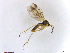 ( - TSZD-JKJ-101472)  @11 [ ] CreativeCommons - Attribution Non-Commercial Share-Alike (2015) Unspecified Tromso University Museum