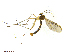  ( - TSZD-JKJ-101480)  @12 [ ] CreativeCommons - Attribution Non-Commercial Share-Alike (2015) Unspecified Tromso University Museum
