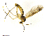  ( - TSZD-JKJ-101484)  @11 [ ] CreativeCommons - Attribution Non-Commercial Share-Alike (2015) Unspecified Tromso University Museum