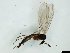  ( - TSZD-JKJ-101499)  @12 [ ] CreativeCommons - Attribution Non-Commercial Share-Alike (2015) Unspecified Tromso University Museum