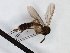  ( - TSZD-JKJ-101569)  @11 [ ] CreativeCommons - Attribution Non-Commercial Share-Alike (2016) Unspecified Tromso University Museum