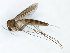  ( - TSZD-JKJ-101570)  @11 [ ] CreativeCommons - Attribution Non-Commercial Share-Alike (2016) Unspecified Tromso University Museum
