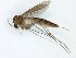  ( - TSZD-JKJ-101570)  @11 [ ] CreativeCommons - Attribution Non-Commercial Share-Alike (2016) Unspecified Tromso University Museum