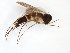  ( - TSZD-JKJ-101573)  @11 [ ] CreativeCommons - Attribution Non-Commercial Share-Alike (2016) Unspecified Tromso University Museum