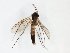  ( - TSZD-JKJ-101574)  @11 [ ] CreativeCommons - Attribution Non-Commercial Share-Alike (2016) Unspecified Tromso University Museum